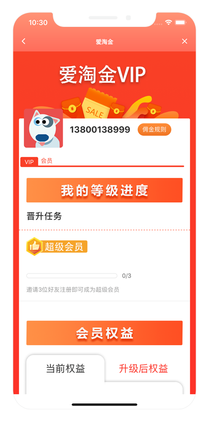 爱淘金